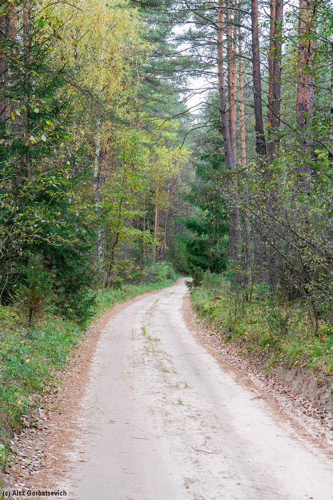 ������ ������