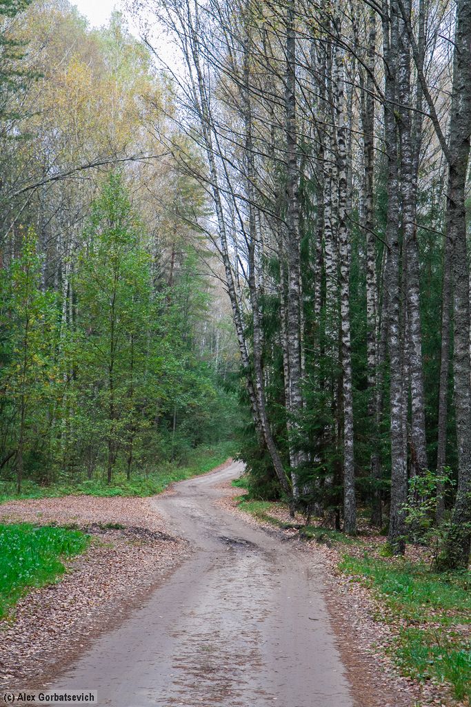 ������ ������