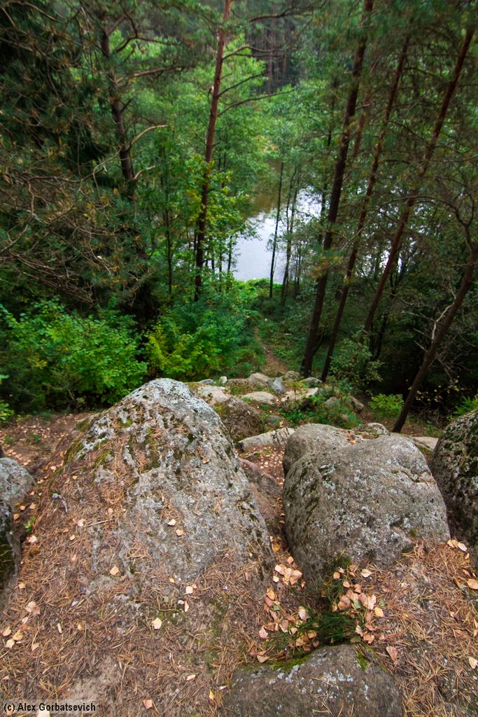 �� ����������