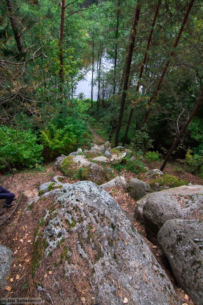 �� ����������