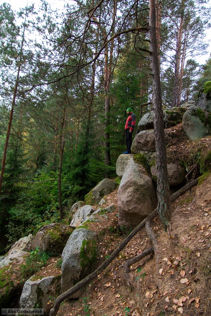 ���������� �����������