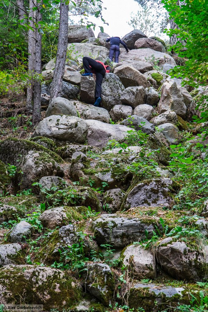 ���� �� ����