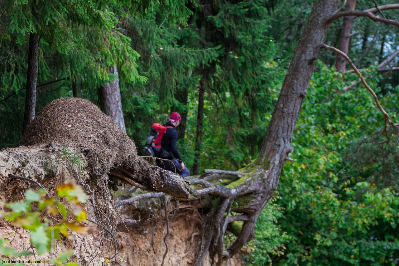 ����� ��� �������