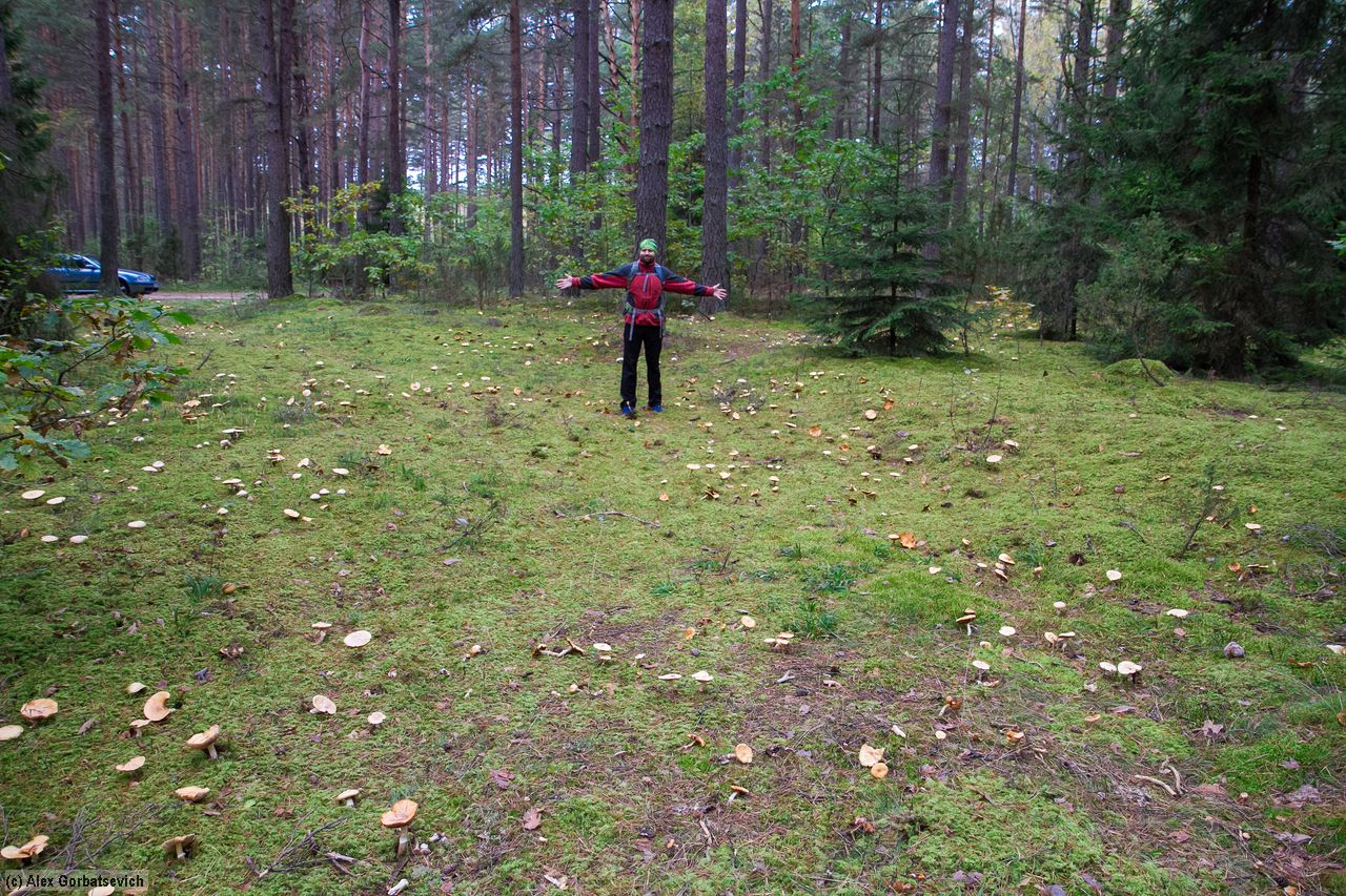 � ��� ��� �����,