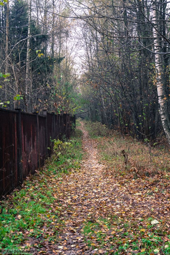 ������ ��������