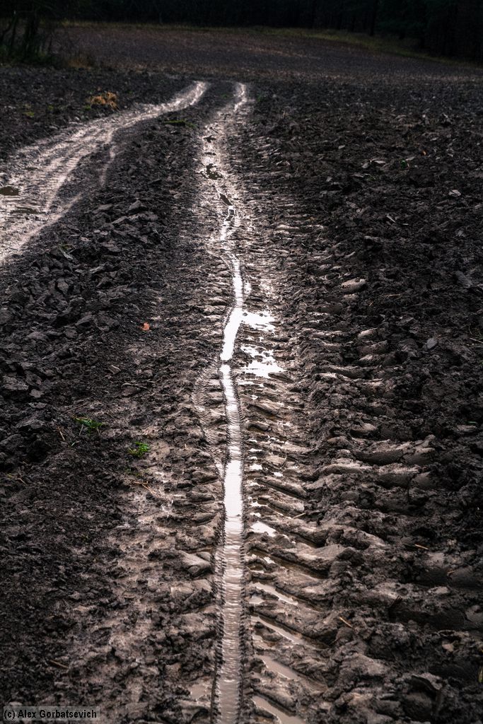 ���� � �������