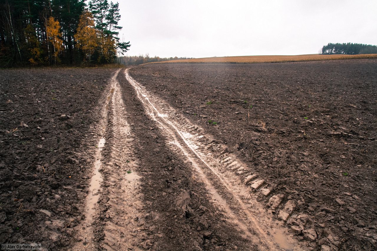 ���� ����� ����