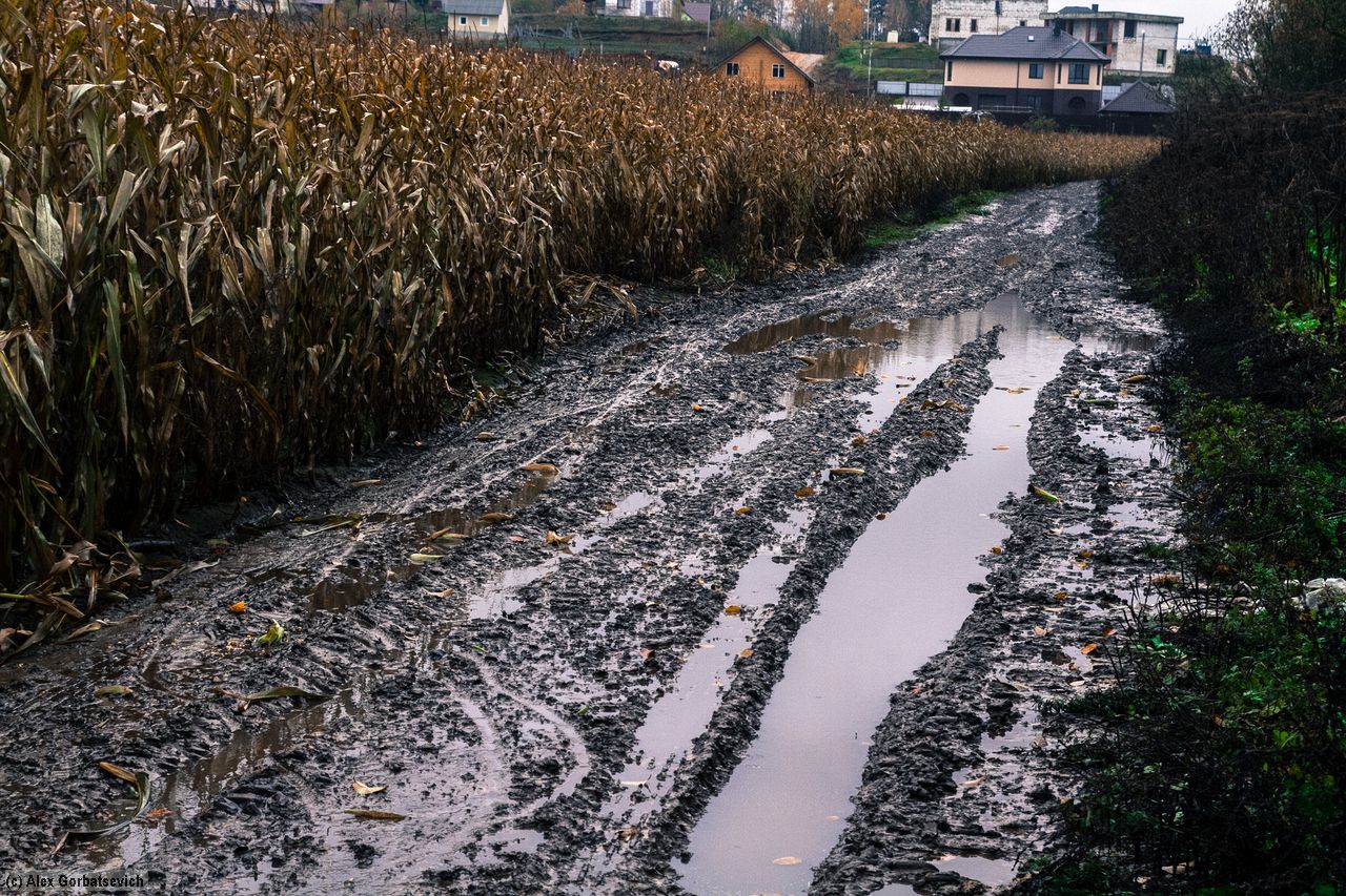 ������..