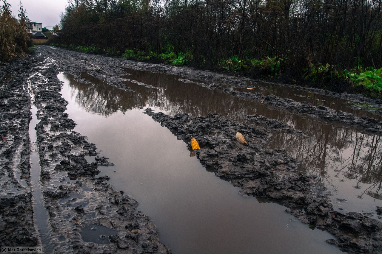 ׸����-������ ����� �����,\n����� ��� ���������� �������\n�� �� �����....