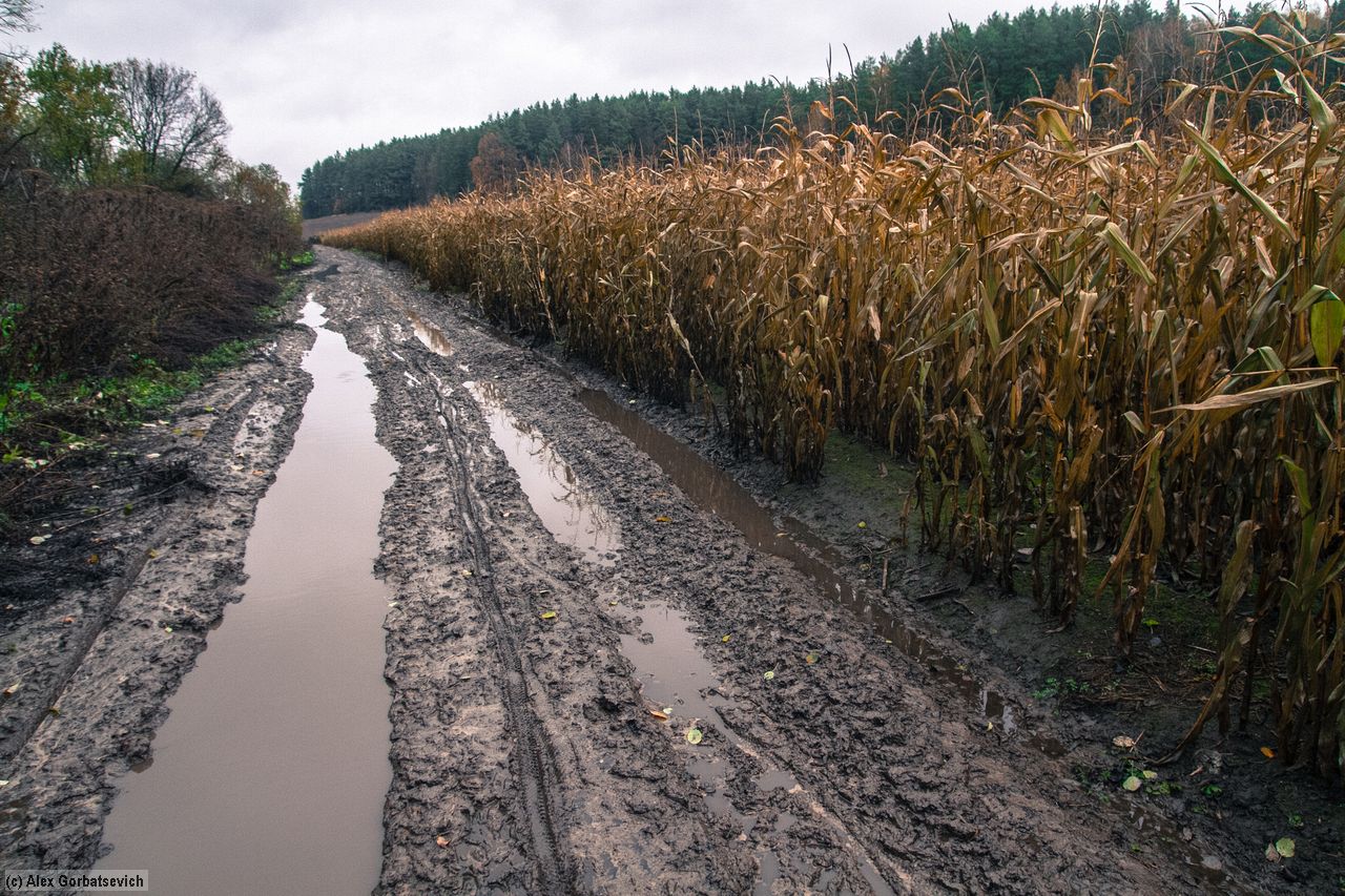 ����� ��������