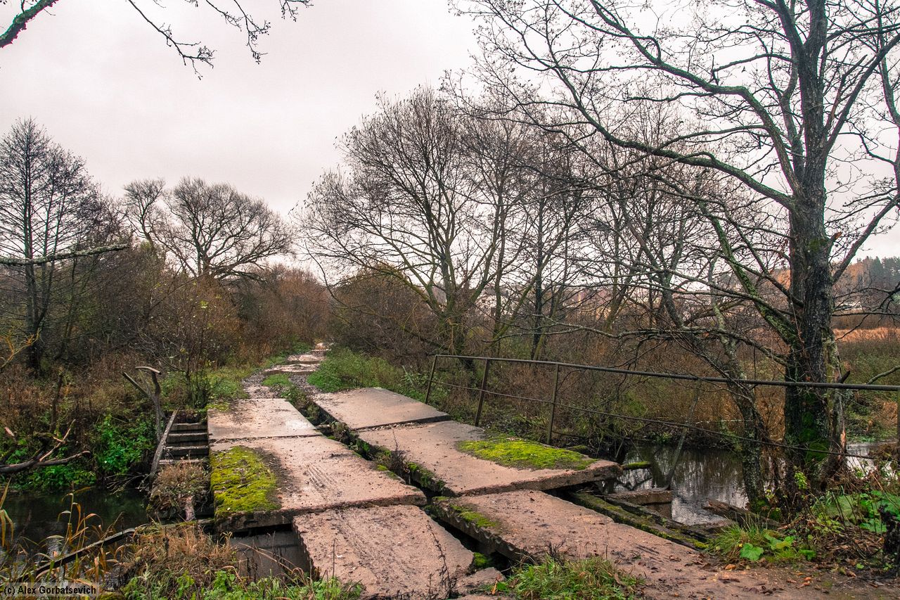 ������ ����� �. �����