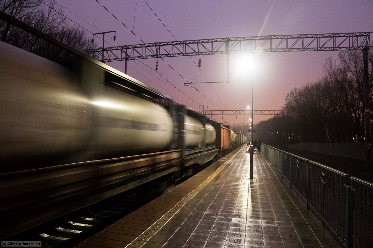 �� ������ ������ ������