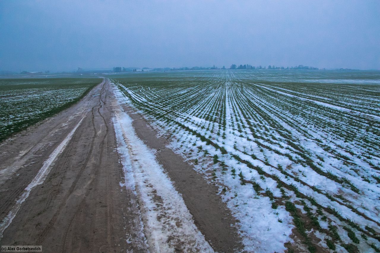 ���� � �������