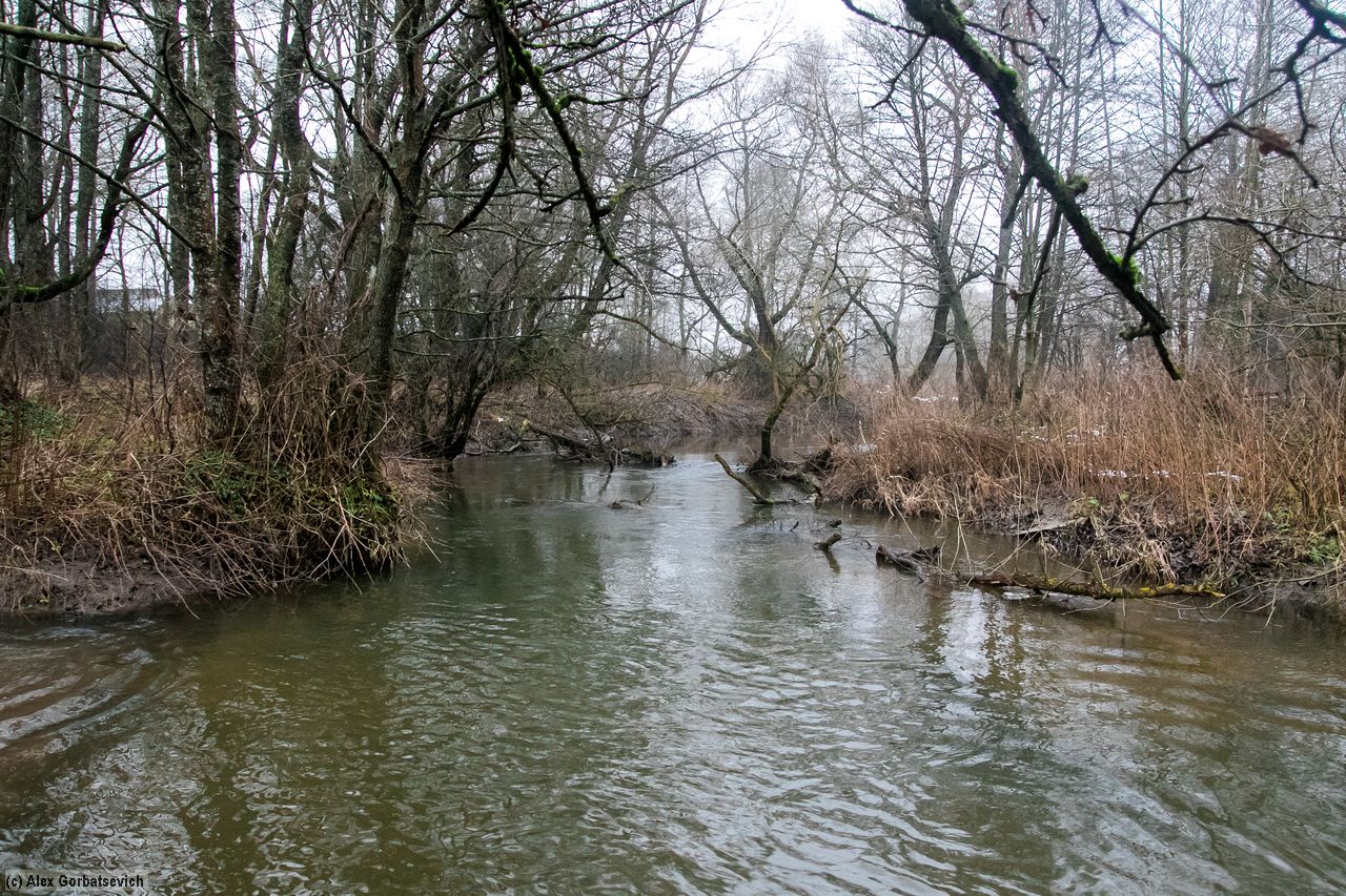 �. �����