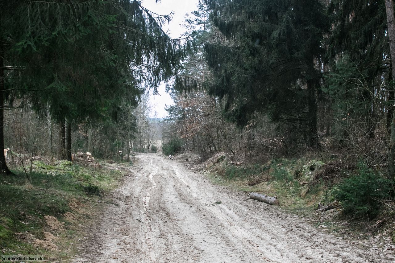 ������ ������