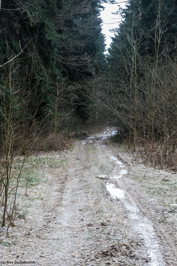 ������ ������