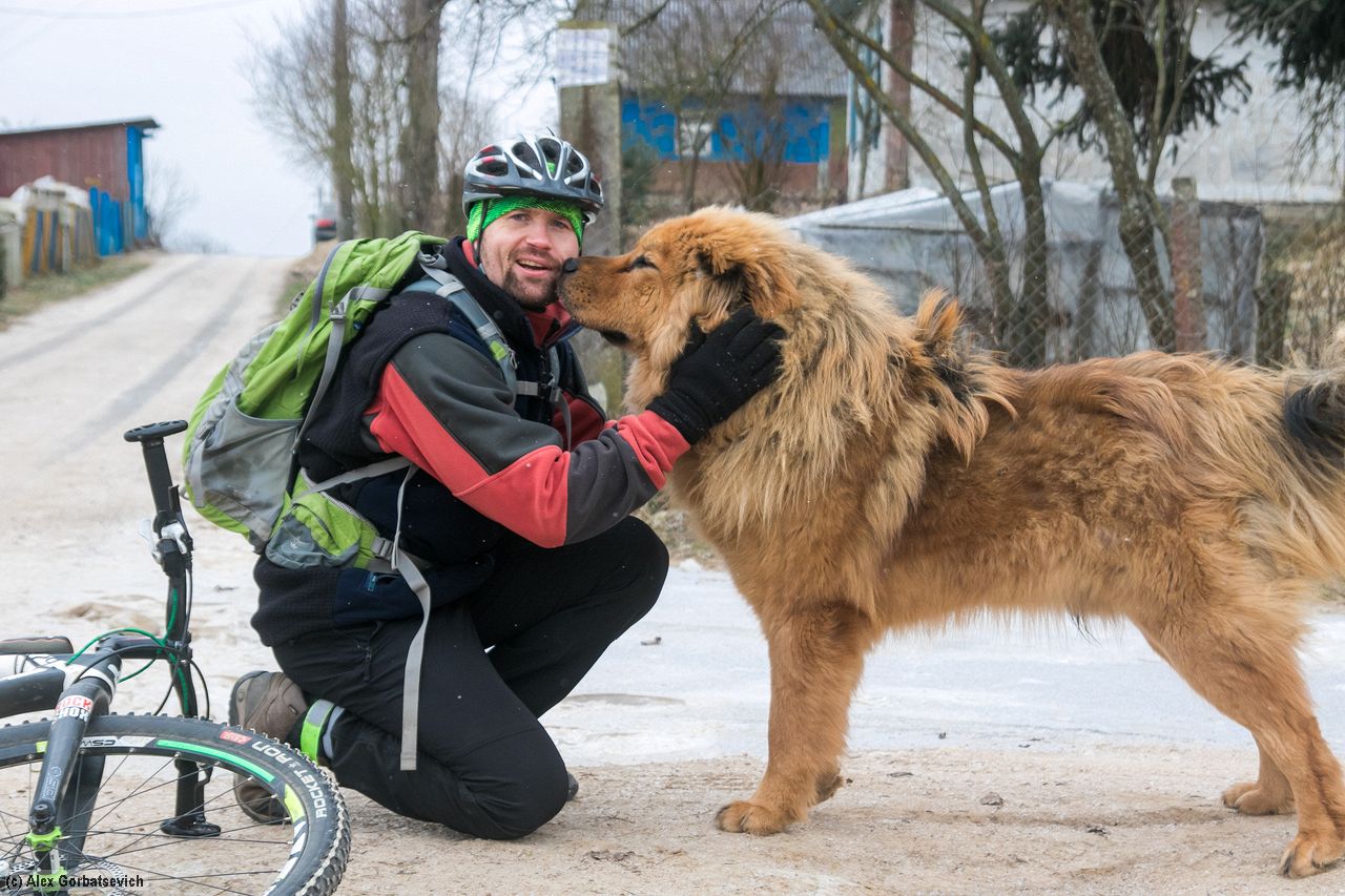 ������ ��������