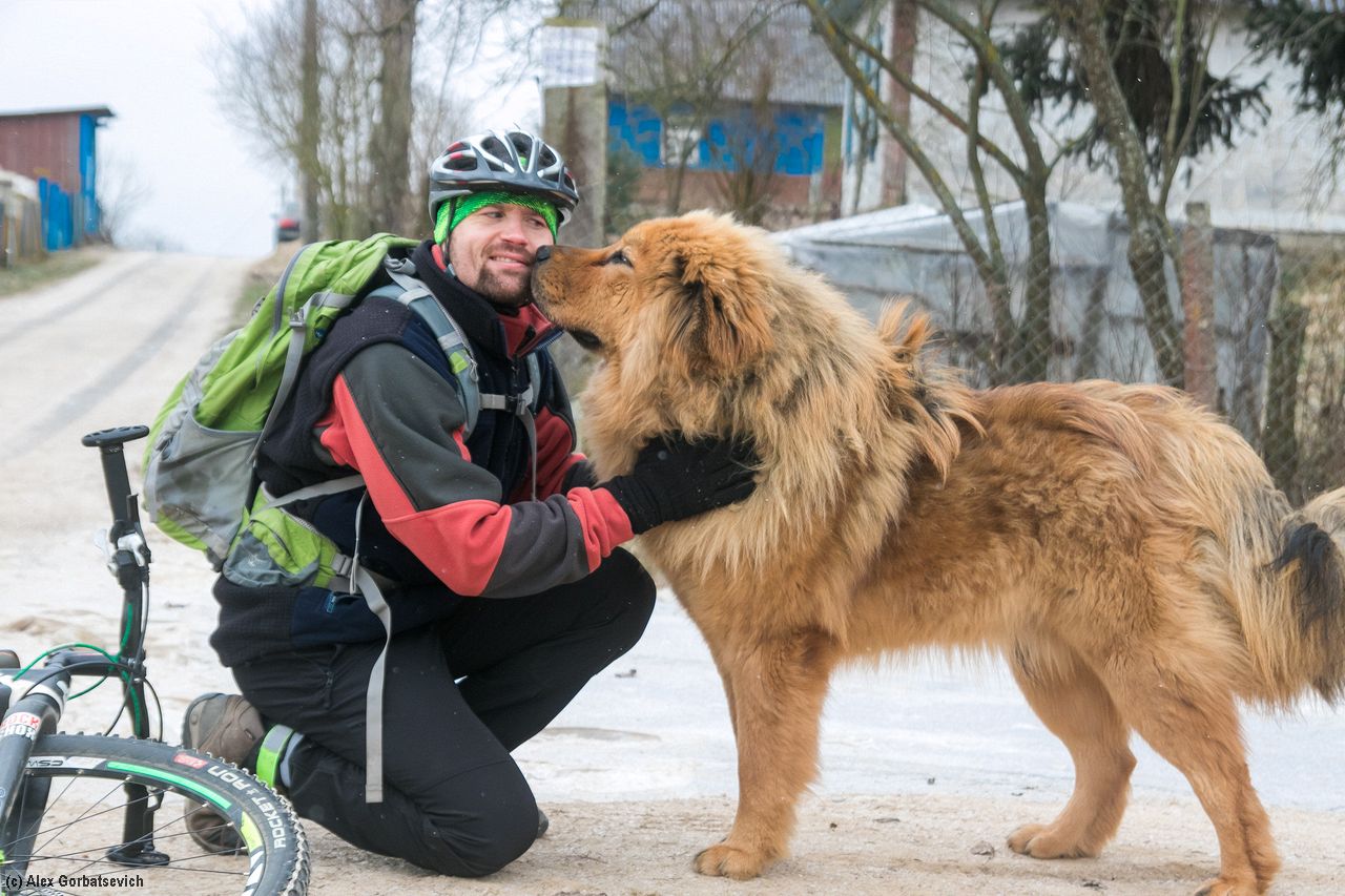 ������ ��������