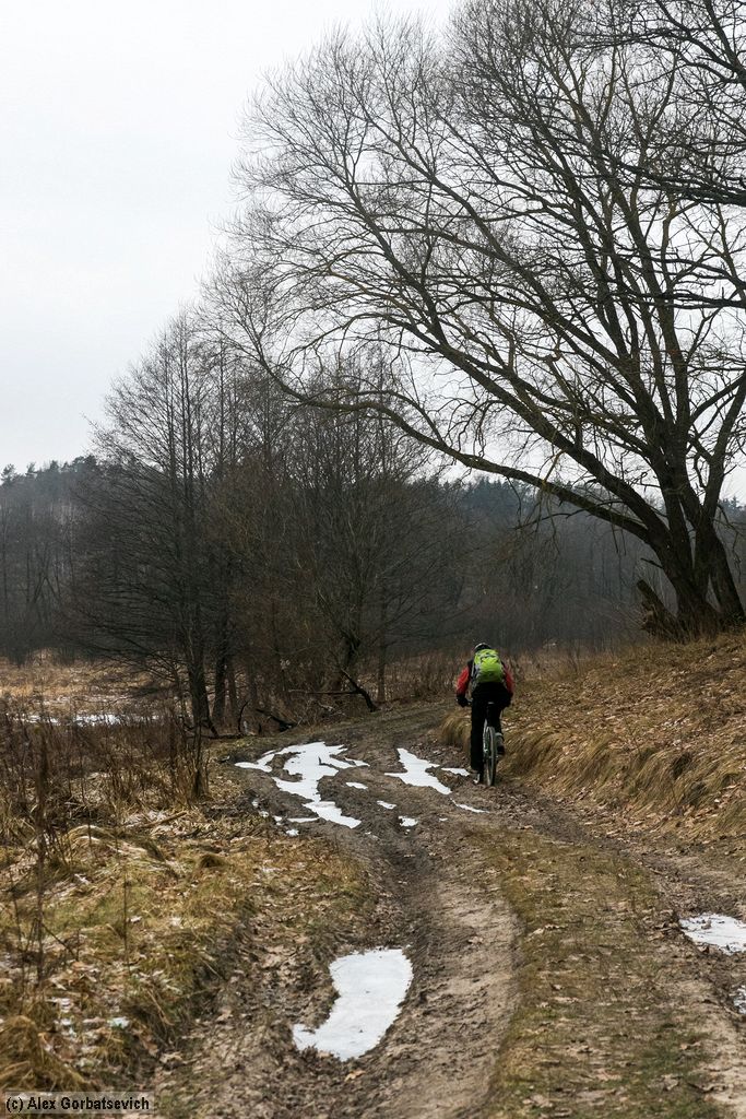 ������ ������