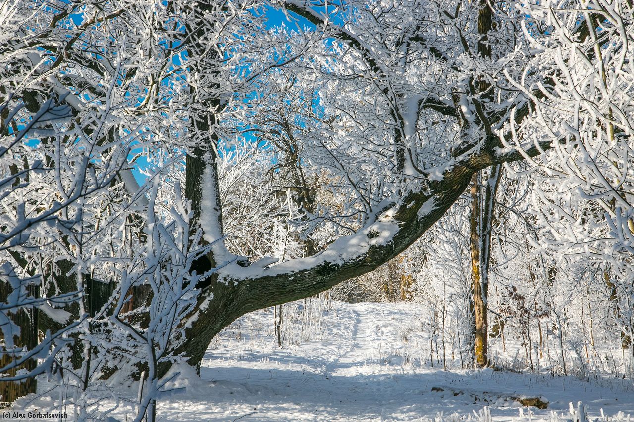 ���� � �����