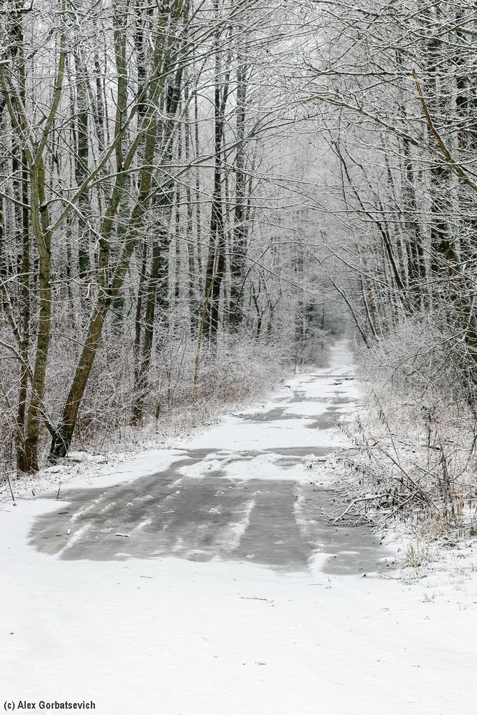 ��������� �������