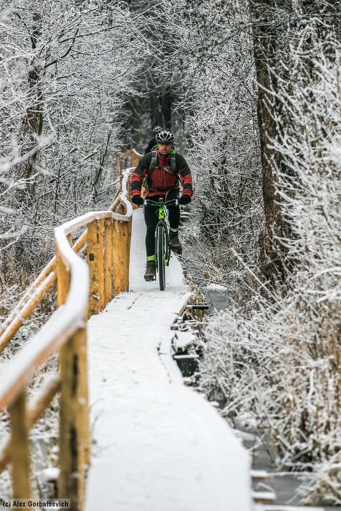 �� �������