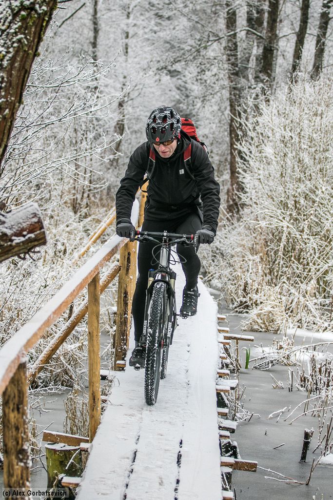 �� �������