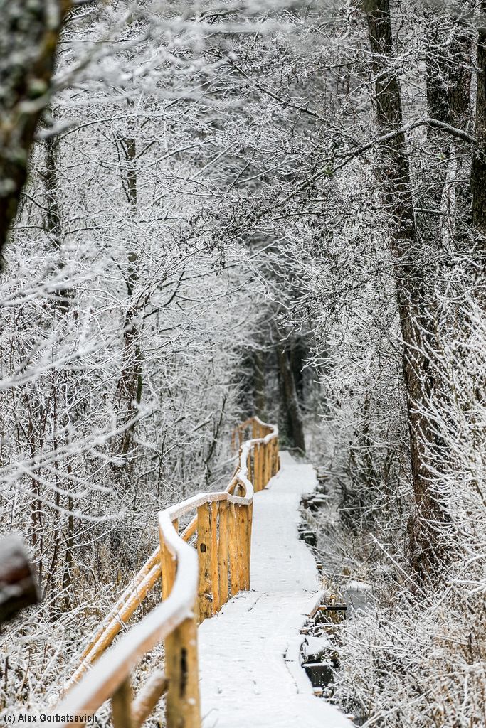 ������. ������ ������