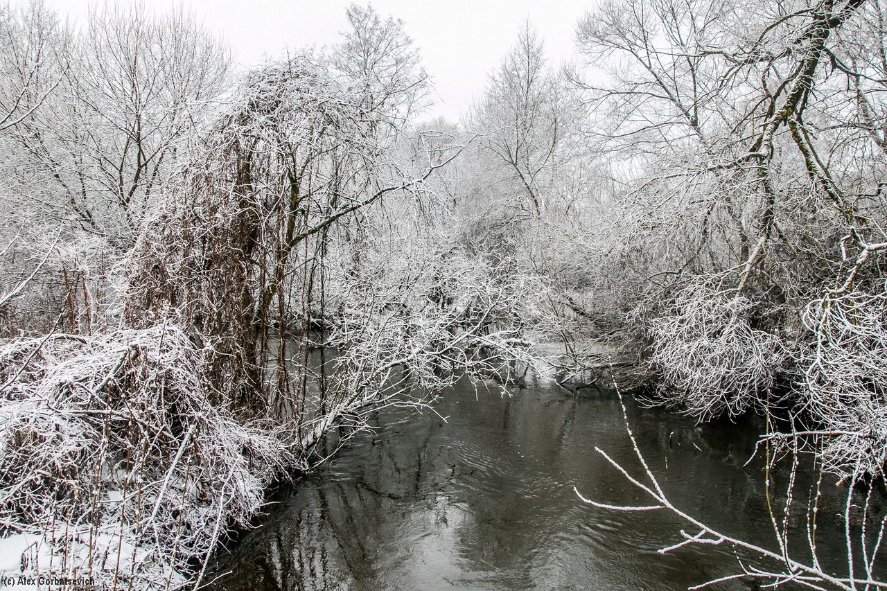 �� ������