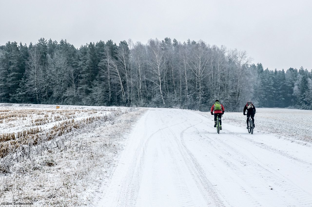 ���������� ��������