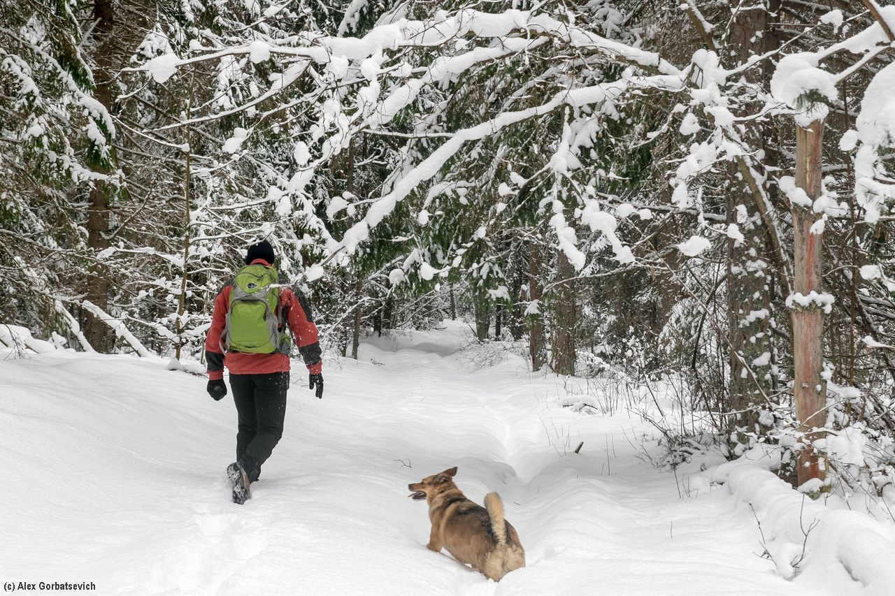 ��������� ������ ������