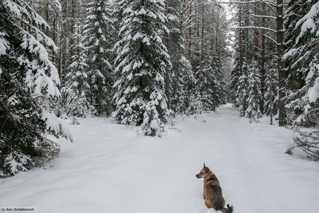 ��� ��� ������� ���� ����?