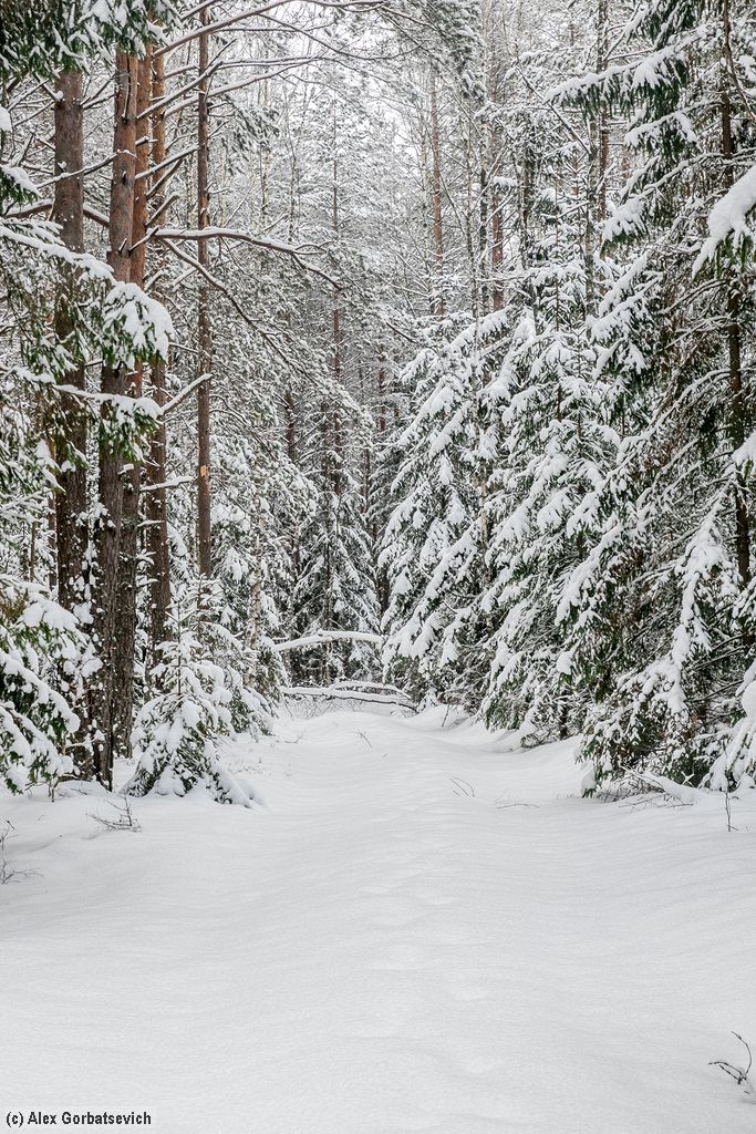 ��������� ��� �����