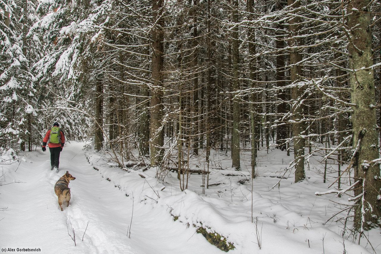 � � ���� �� �����...