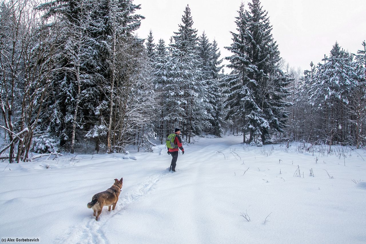 � ����� ������ �� �����?