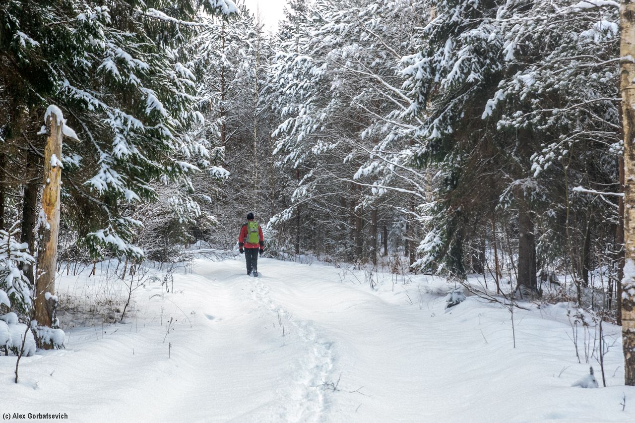 ������ �����