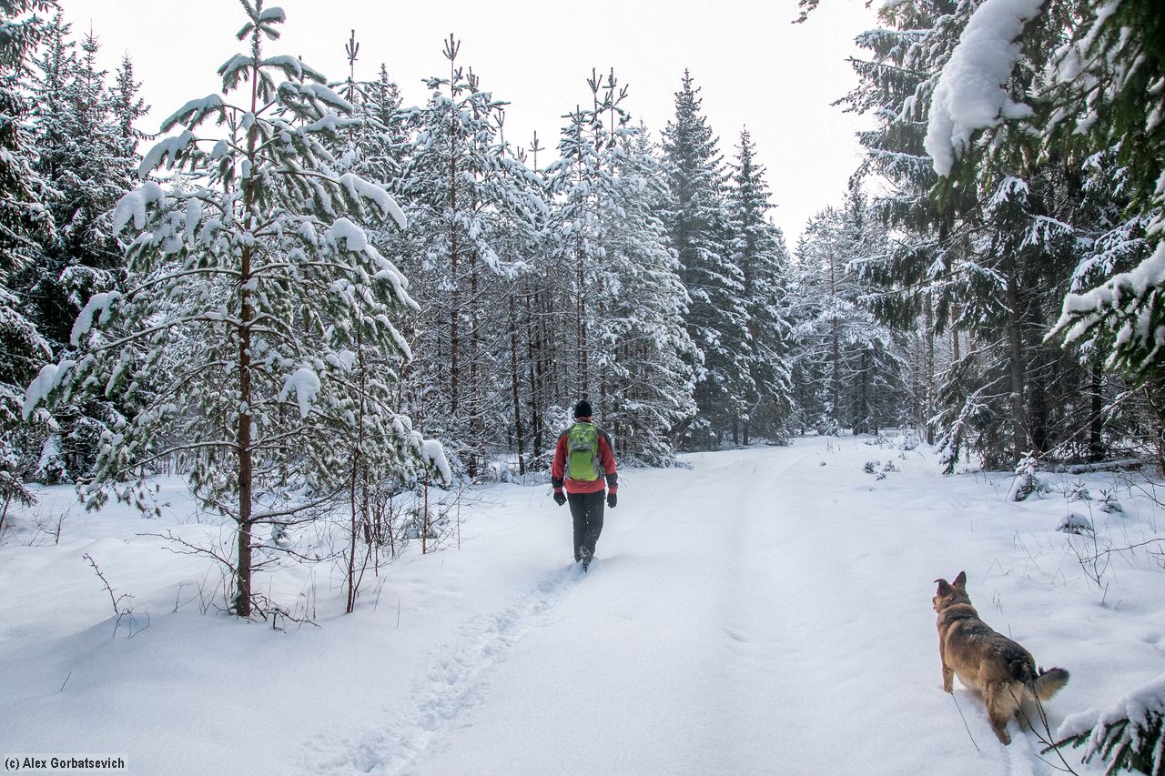 �� � ���� �� �����?