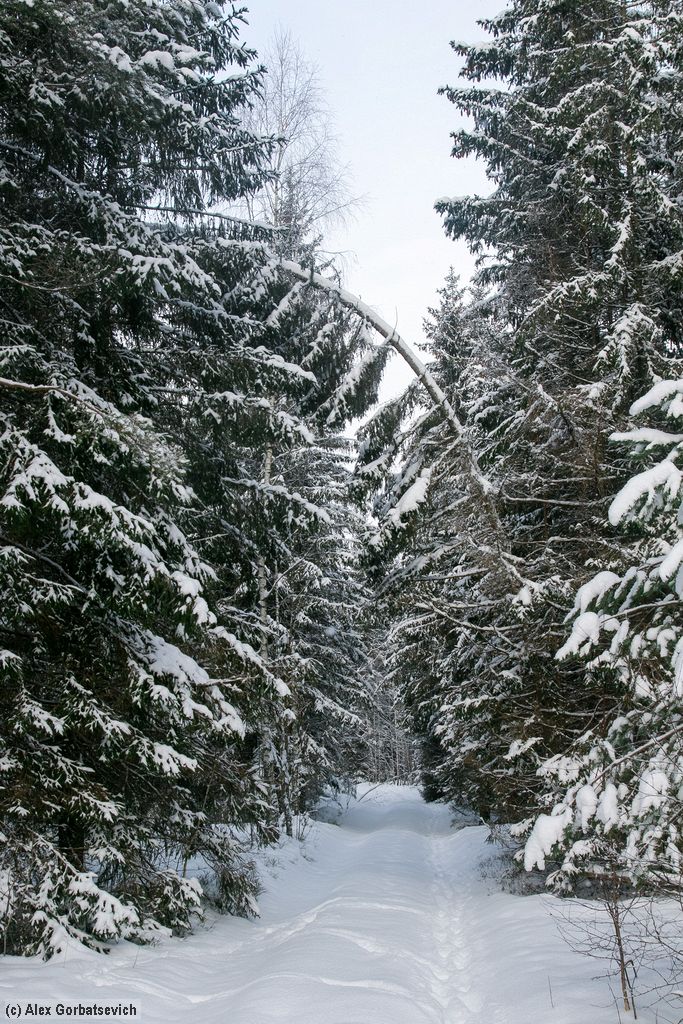 �������� � ����