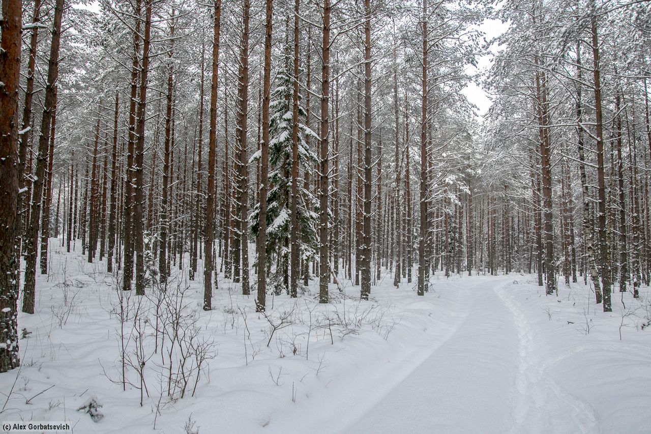 �������� ��� �����