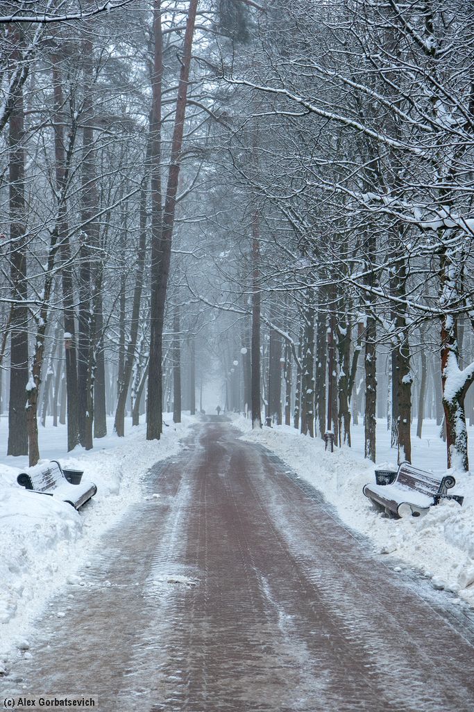 ����������� �������