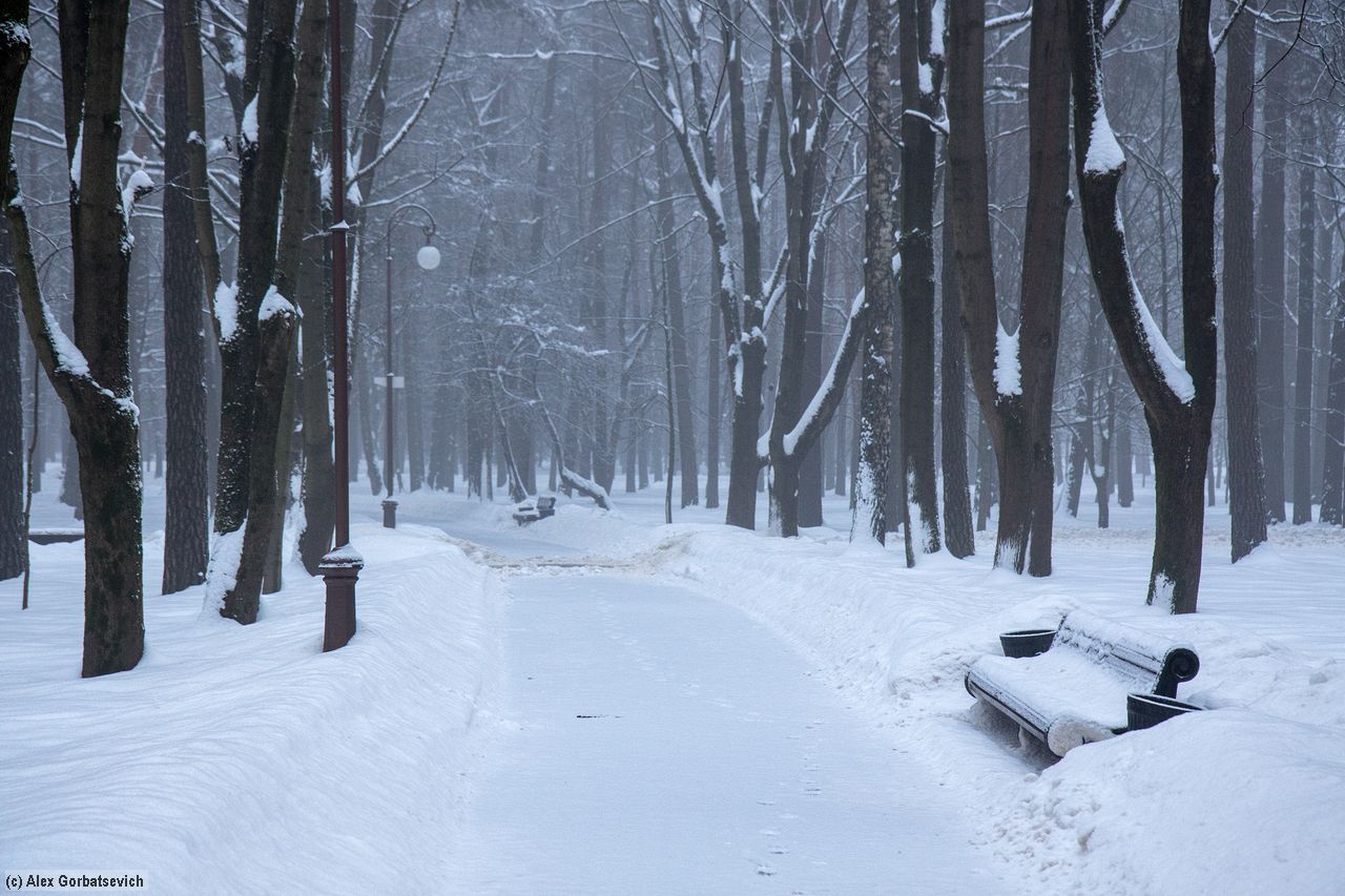 ����������� �������