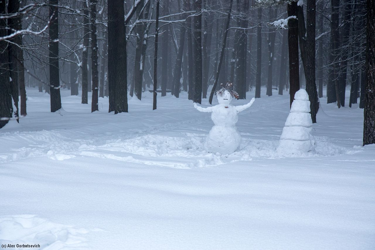 ����� ���������� � ��� ���