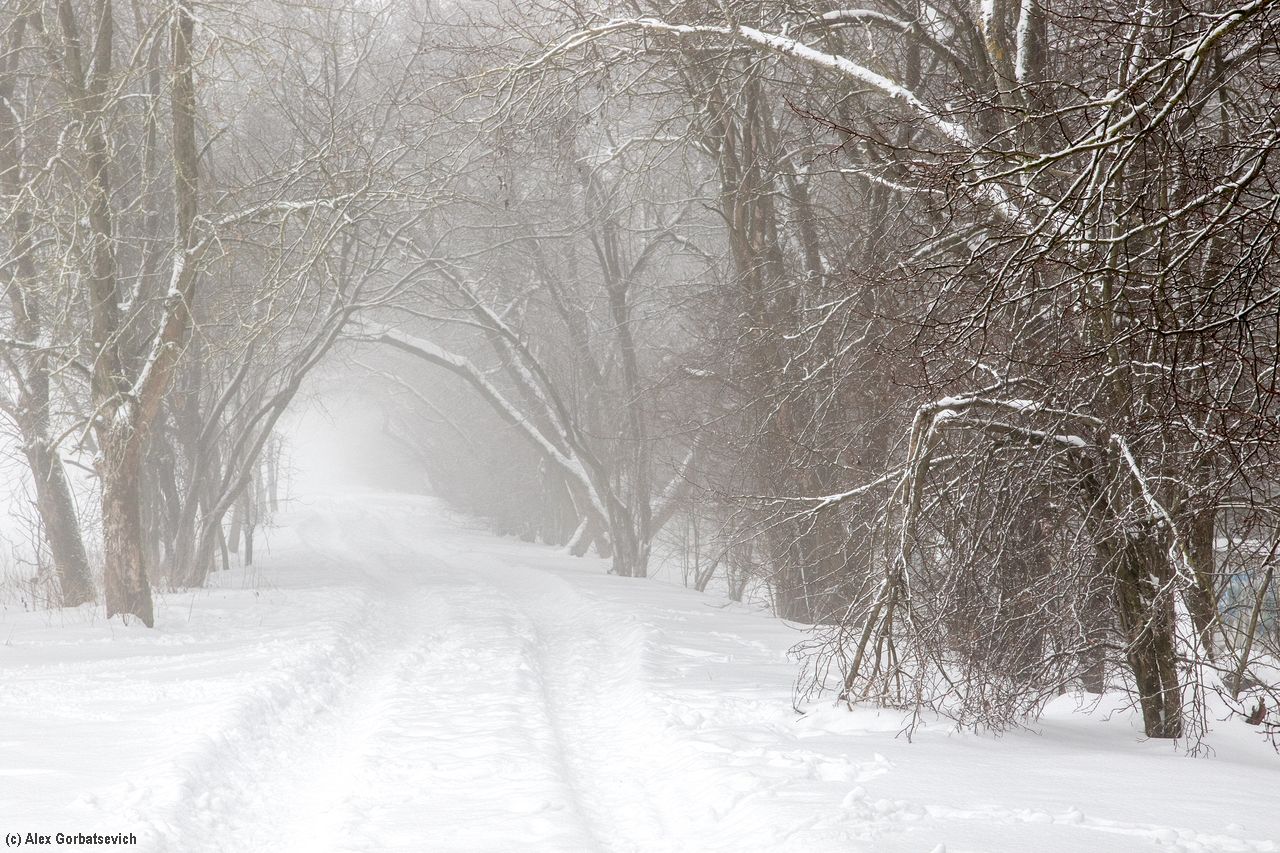 ����� ���������