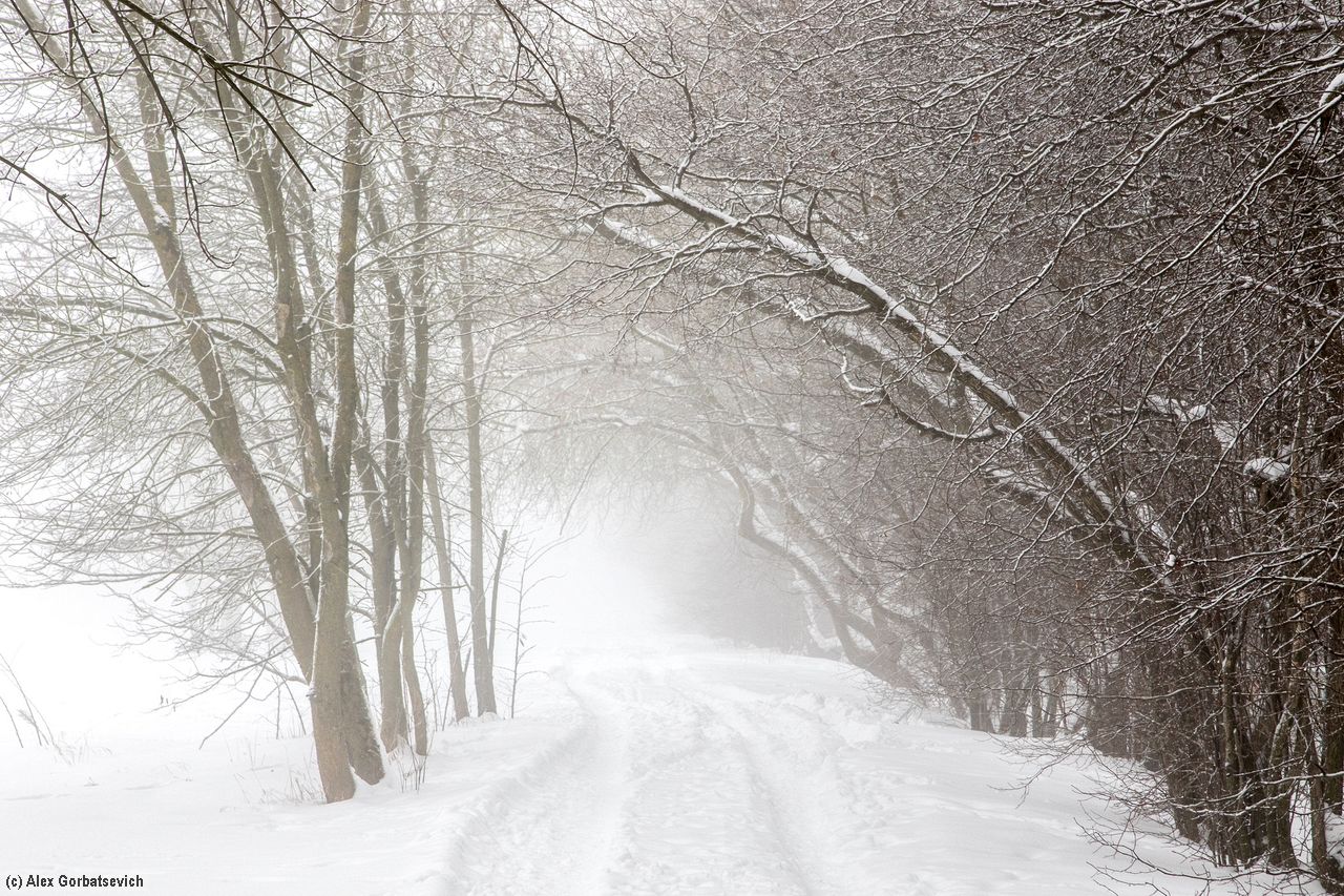 ����� ���������