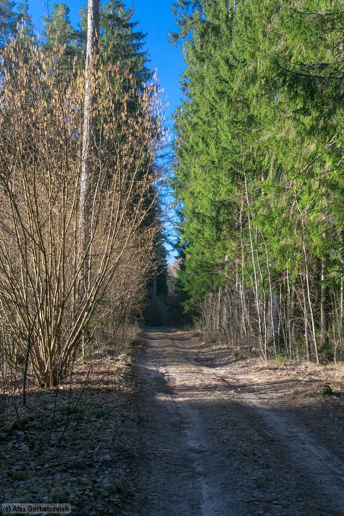 �������� ���