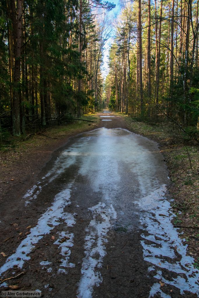 ����� ����