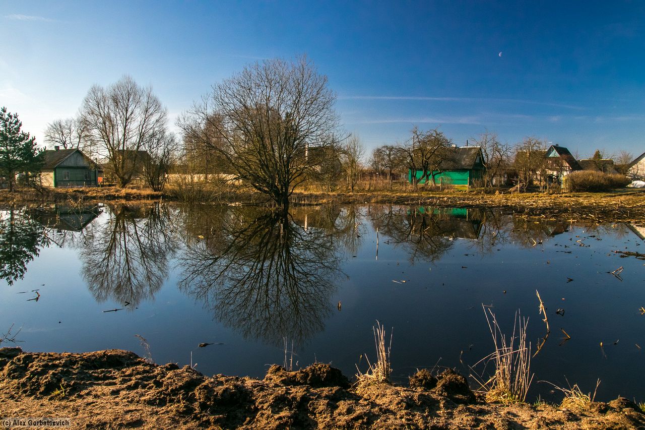 ������ ������