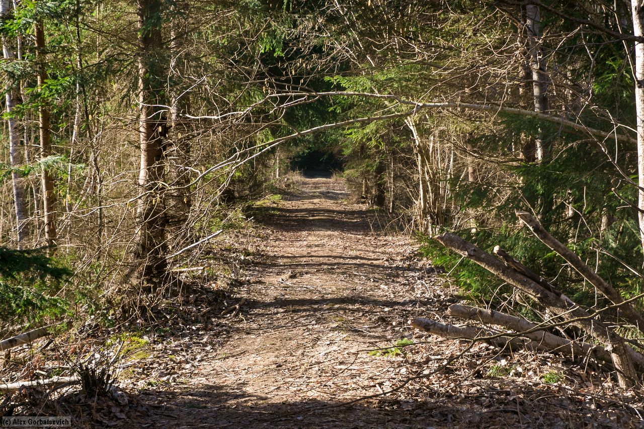 ���� � ����������