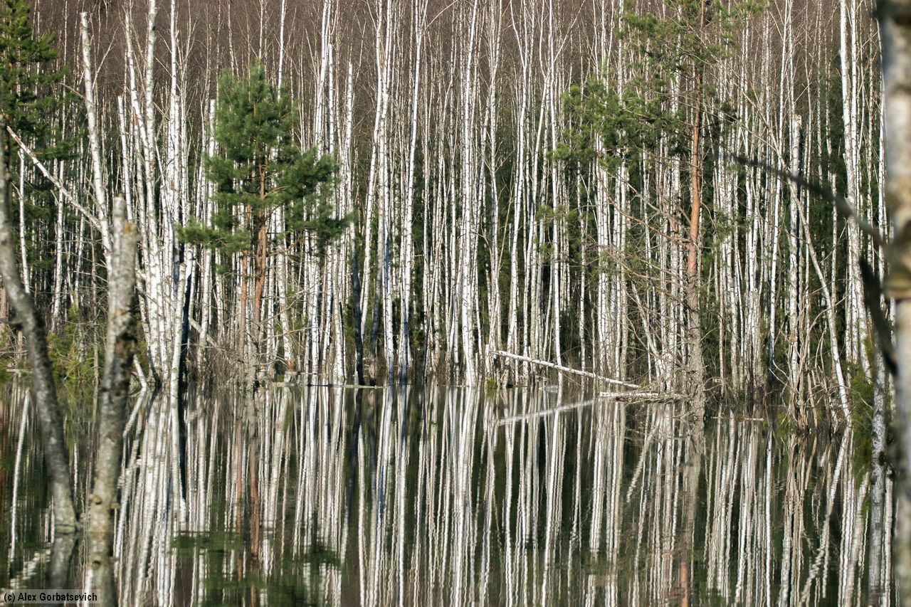 ���� ���������� �� �����