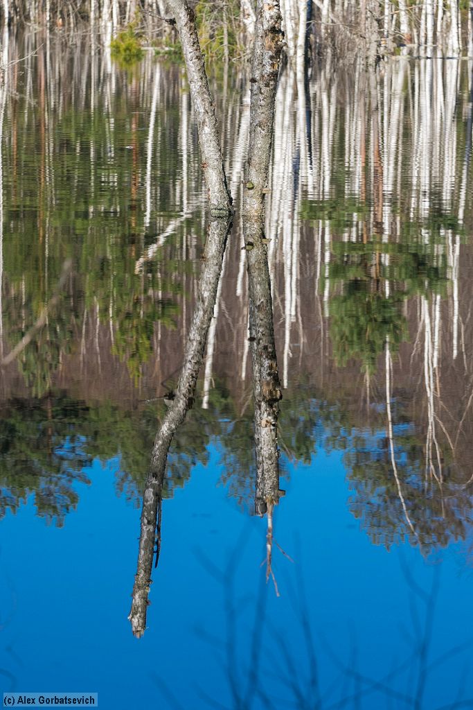 ����� ������